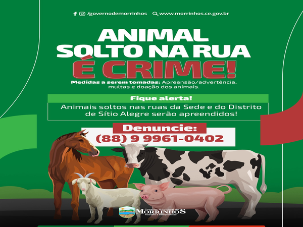 Animal solto na rua é CRIME!